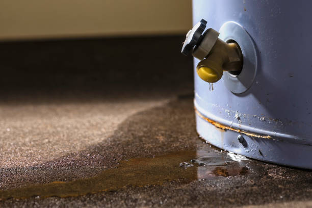 Best Professional water damage repair  in Bell Gardens, CA