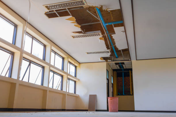  Bell Gardens, CA Water damage restoration Pros