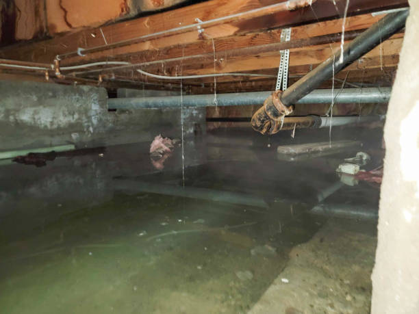Best 24-hour water damage restoration  in Bell Gardens, CA