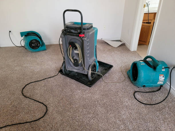 Best 24/7 water damage repair  in Bell Gardens, CA