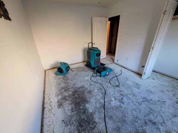Trusted Bell Gardens, CA Water damage restoration Experts