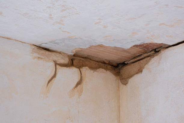 Best Local water damage restoration  in Bell Gardens, CA
