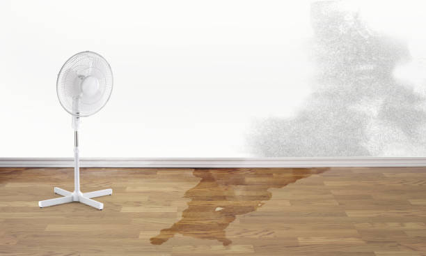 Best Carpet water damage restoration  in Bell Gardens, CA