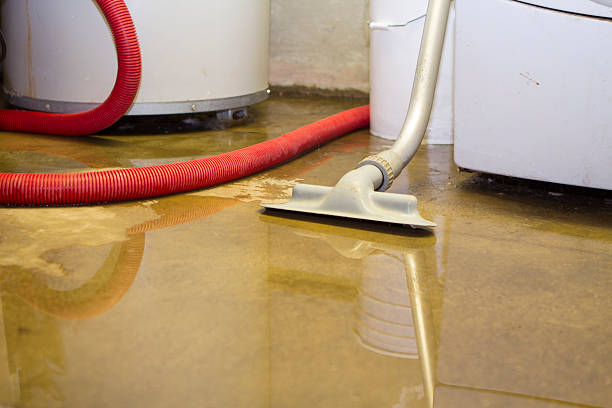 Best Sewage cleanup and water damage restoration  in Bell Gardens, CA