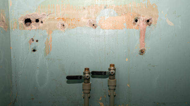 Best Fire Damage Restoration  in Bell Gardens, CA