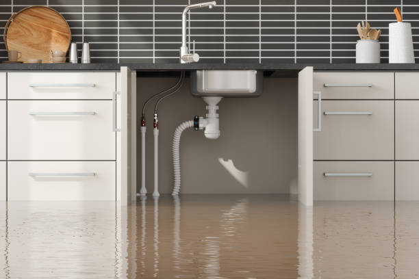 Best Water damage contractors near me  in Bell Gardens, CA