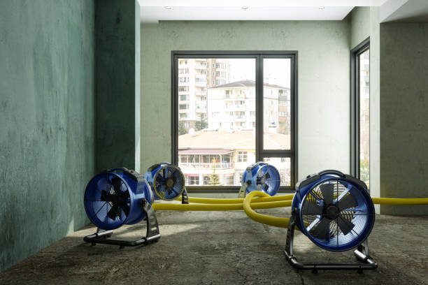 Best Water damage cleanup near me  in Bell Gardens, CA